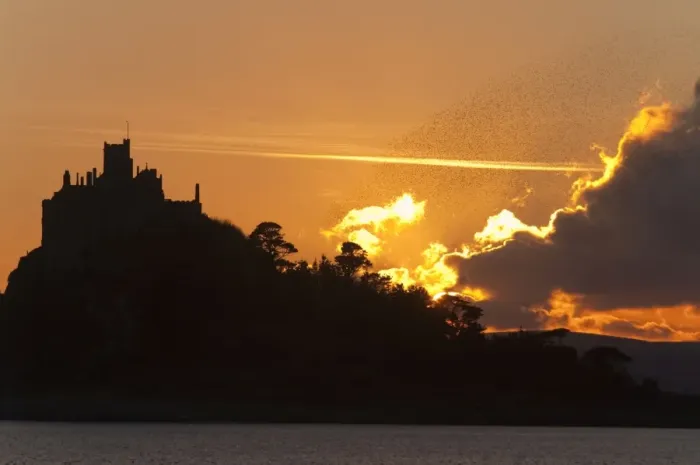 Framed Print : Starlings - going to roost - St Michael's Mount - Cornwall - UK Framed Print : Starlings - going to roost - St Michael's Mount - Cornwall - UK