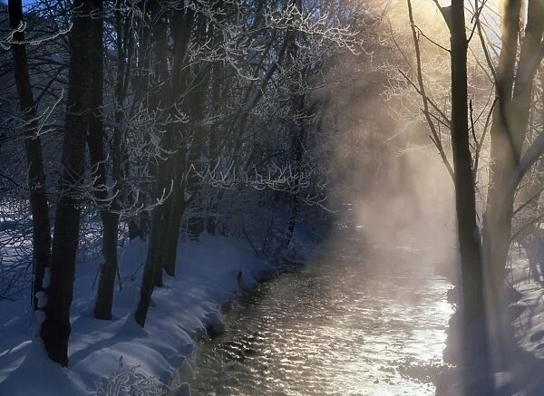 Steaming brook after a very cold winter night Baden-Wuerttemberg, Germany