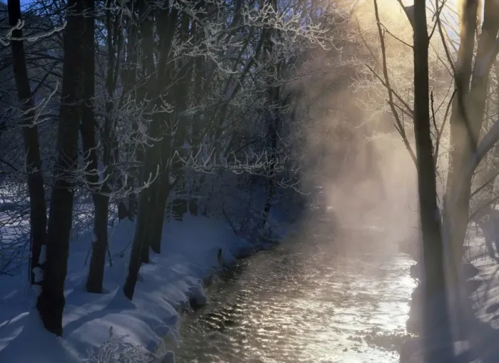 Framed Print : Steaming brook after a very cold winter night Baden-Wuerttemberg, Germany Framed Print : Steaming brook after a very cold winter night Baden-Wuerttemberg, Germany