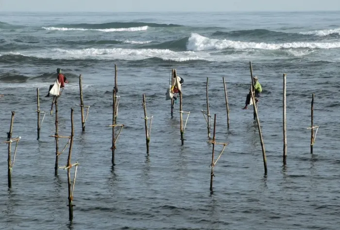 Framed Print : Stilt fishermen in southern Sri Lanka- perch here at auspicious states of the tide to catch or spear coastal fishes Framed Print : Stilt fishermen in southern Sri Lanka- perch here at auspicious states of the tide to catch or spear coastal fishes