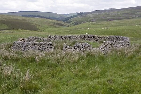 Stone sheep enclosure Moorfoot Hills Scottish Borders south of Edinburgh Scotland UK