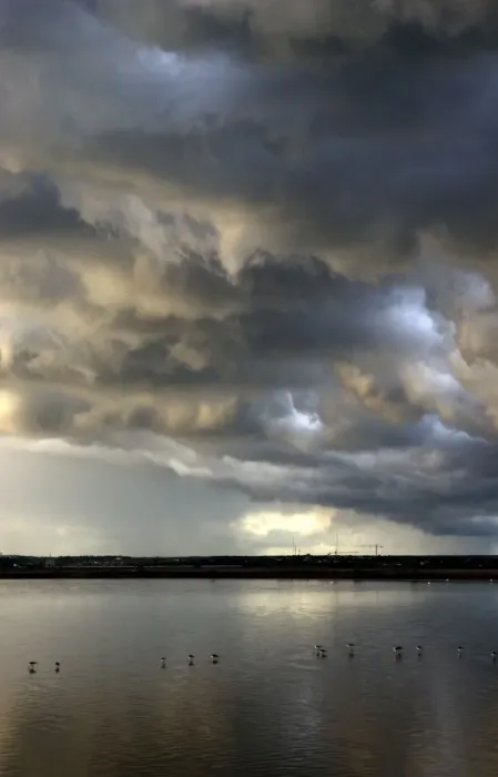 Framed Print : Storm Clouds - evening sky over marshlands of Donana National Park, Spain Very important area between two continents for birds migrating, resting, breeding, and winter nesting Framed Print : Storm Clouds - evening sky over marshlands of Donana National Park, Spain Very important area between two continents for birds migrating, resting, breeding, and winter nesting
