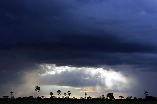 Storm Clouds - Hwange National Park, Zimbabwe, Africa