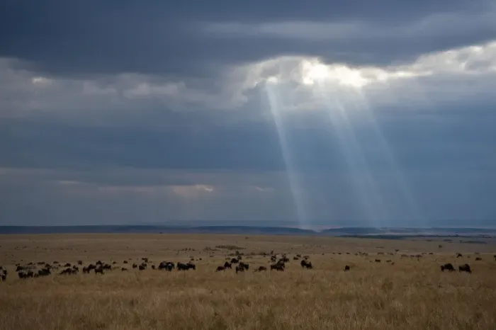 Framed Print : Storm clouds over the Masai Mara - Kenya Framed Print : Storm clouds over the Masai Mara - Kenya