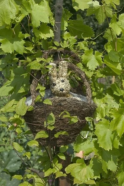 Straw Rabbit - in basket hanging among vines