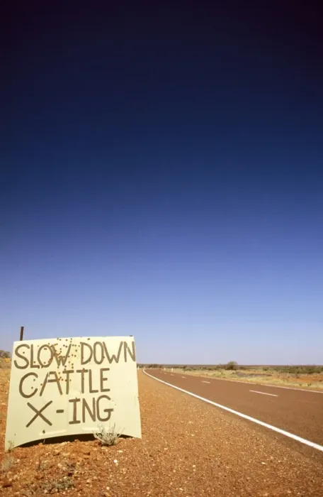 Framed Print : Stuart Highway cattle crossing warning sign Northern Territory, Australia JLR03135 Framed Print : Stuart Highway cattle crossing warning sign Northern Territory, Australia JLR03135
