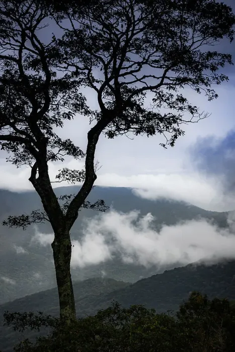 Framed Print : Stylized vista, Blue Ridge Parkway, Smoky Mountains, USA. Date: 30-09-2018