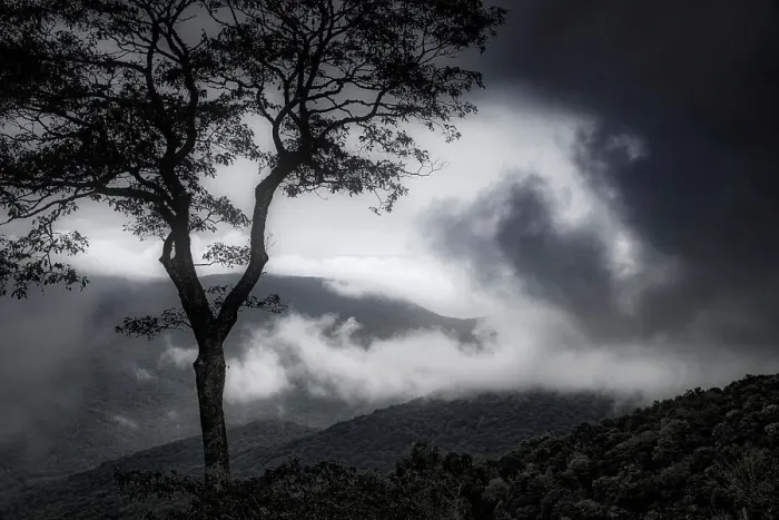 Framed Print : Stylized vista, Blue Ridge Parkway, Smoky Mountains, USA. Date: 30-09-2018 Framed Print : Stylized vista, Blue Ridge Parkway, Smoky Mountains, USA. Date: 30-09-2018