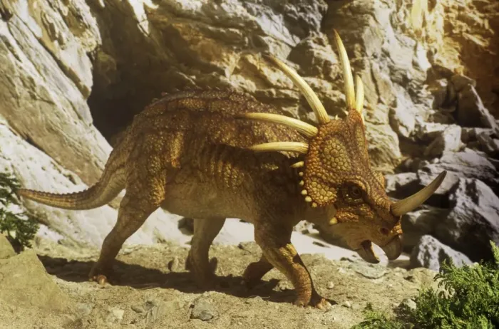 Framed Print : Styracosaurus near cave. Late Cretaceous Framed Print : Styracosaurus near cave. Late Cretaceous