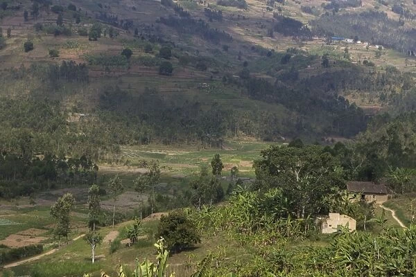 Subsistence Farm - near Kigali - Rwanda