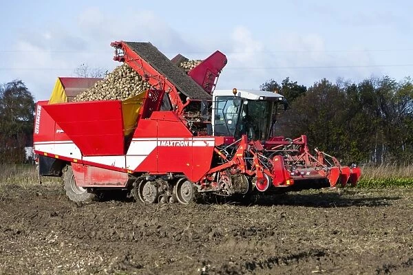 Sugar Beet - harvesting machine - Seeland - Denmark