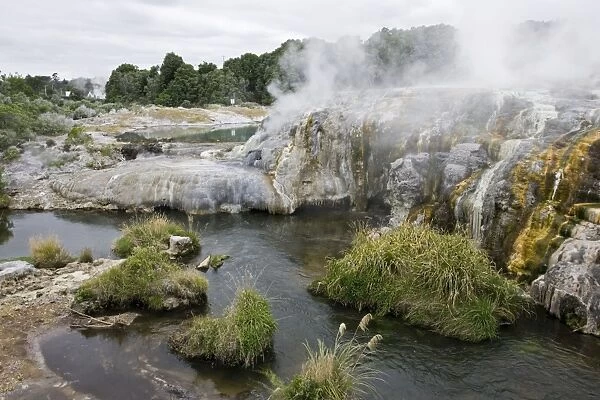 Sulphur covered rocks and geothermal steam. Te Puia Whakarewarewatanga Thermal Valley - Rotorua - New Zealand