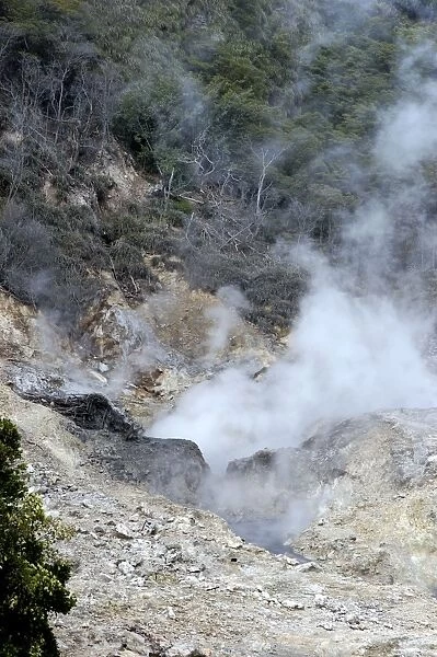 Sulphur Springs - Continuously escaping sulphurous fumaroles and hot springs. Voted by UNESCO World Heritage Site in 2004. St. Lucia, Windward Islands. February