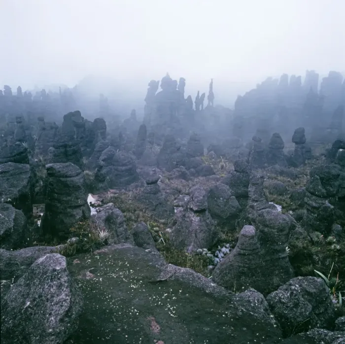 Framed Print : Summit of Mount Kukenaam (Kukenan, Kukenan, Cuguenan), rockshapes in mist, Estado Bolivar, Venezuela, South America Framed Print : Summit of Mount Kukenaam (Kukenan, Kukenan, Cuguenan), rockshapes in mist, Estado Bolivar, Venezuela, South America