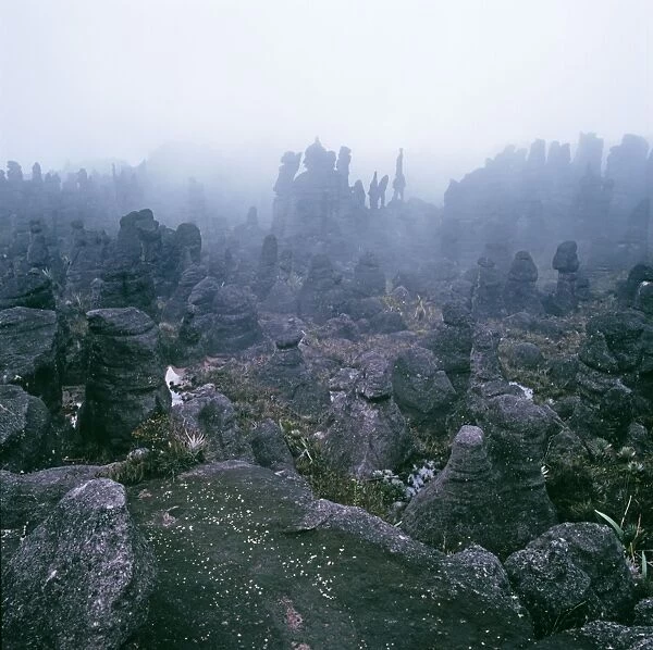 Summit of Mount Kukenaam (Kukenan, Kukenan, Cuguenan), rockshapes in mist, Estado Bolivar, Venezuela, South America