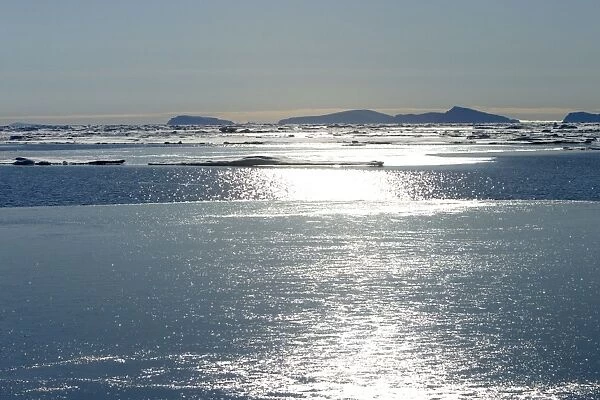 Sun reflection on Ice Floe North Svalbard, Spitzbergen, Norway