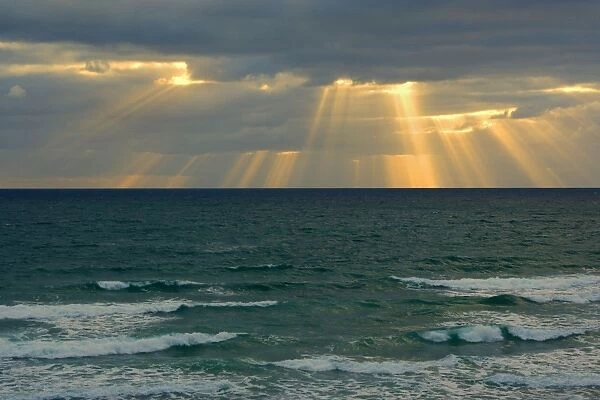 Sunbeams beams of light break through a dense bank of black clouds over the ocean Mangawhai Head, Auckland, North Island, New Zealand