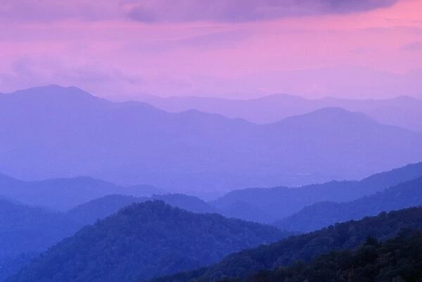 Sunrise CLA 146 Predawn sky & mountain ridges, Great Smoky National Park, Tennessee, USA. © Mary Clay  /  ardea. com