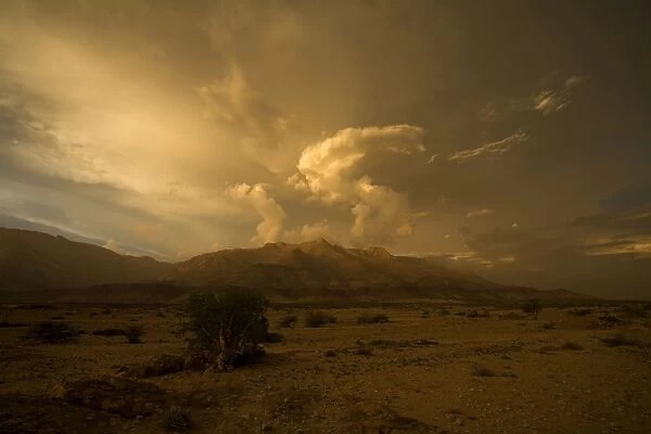 Sunset with cloud build up over the Brandberg Massive. Namib Desert Namibia, Africa