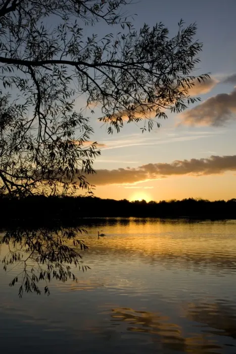Framed Print : Sunset - Groby Pool, Leicestershire UK Framed Print : Sunset - Groby Pool, Leicestershire UK