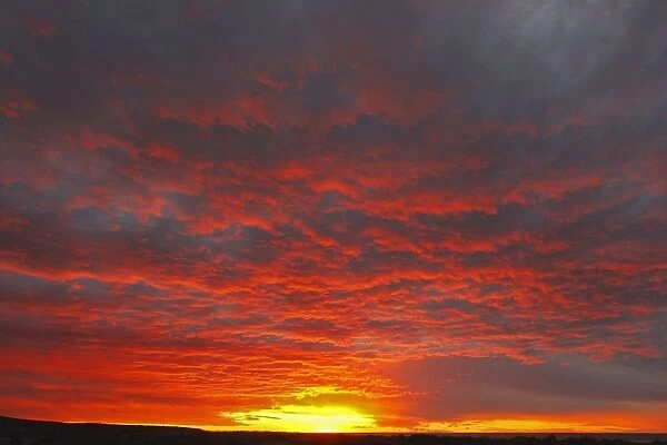 Sunset. Valdes peninsula - Argentina