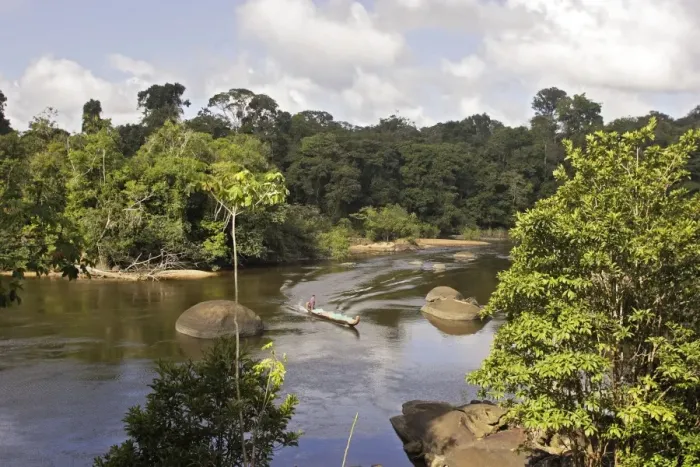Framed Print : Suriname - Coppename River Central Suriname nature reserve. 1, 6 million d'hectares 3, 6 millions d'acres Framed Print : Suriname - Coppename River Central Suriname nature reserve. 1, 6 million d'hectares 3, 6 millions d'acres
