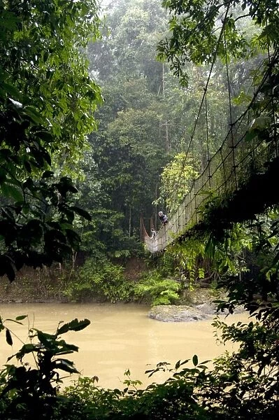 Suspension bridge over river Danum in a rainy day; primary rainforest of river Danum Conservation Area, Sabah, Borneo, Malaysia; June. Ma39. 3295