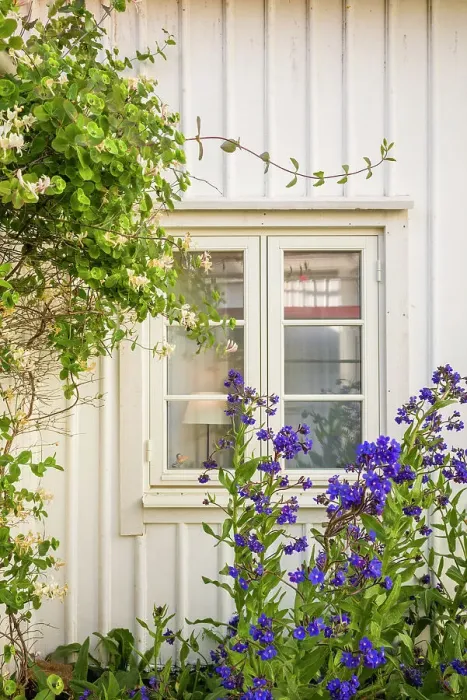 Framed Print : Sweden, Bohuslan, Smogen, house detail Date: 01-06-2019 Framed Print : Sweden, Bohuslan, Smogen, house detail Date: 01-06-2019