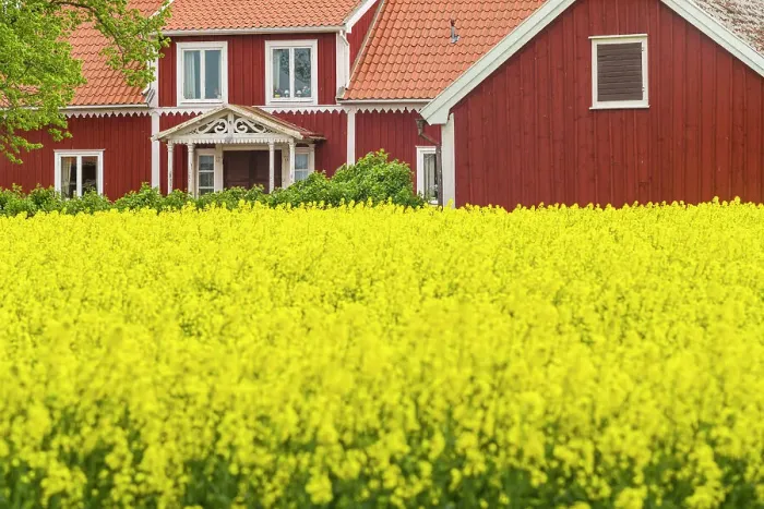 Framed Print : Sweden, Lake Vattern Area, Renstad, farm, springtime Date: 17-05-2019 Framed Print : Sweden, Lake Vattern Area, Renstad, farm, springtime Date: 17-05-2019