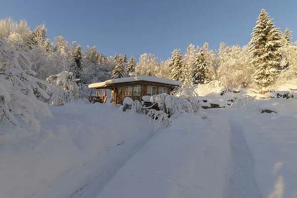 Swedish house standing in an winter forest landscape