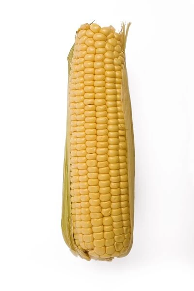 Sweetcorn - corn on the cob