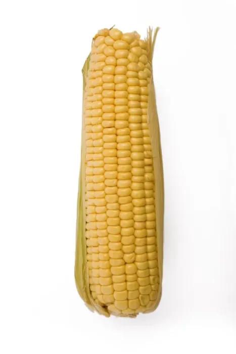 Framed Print : Sweetcorn - corn on the cob Framed Print : Sweetcorn - corn on the cob