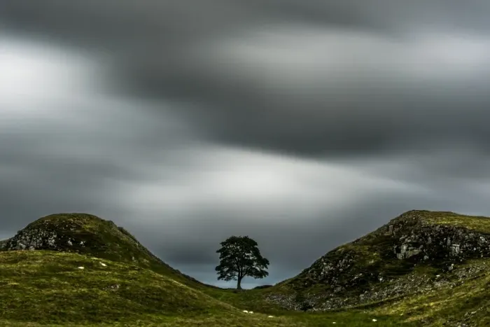 Framed Print : Sycamore Gap Framed Print : Sycamore Gap