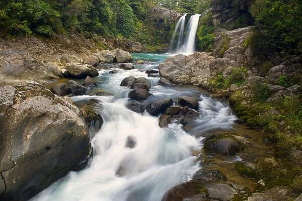Tawhai Falls waters drop down Tawhai Falls into a basin and flow further down a narrow gorge Tongariro National Park, North Island, New Zealand