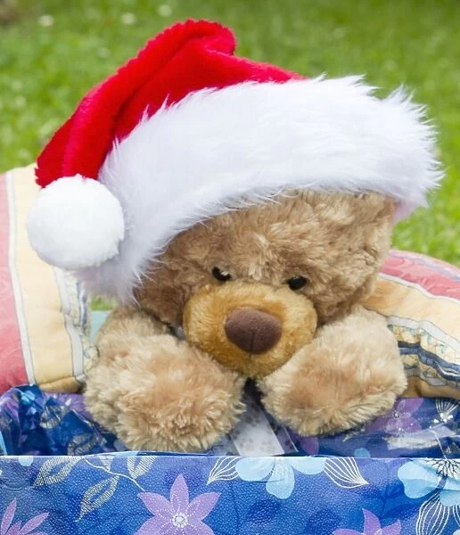 Teddy bear wearing Santa claus hat - Lower Saxony - Germany