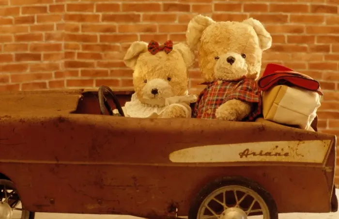 Framed Print : Teddy Bear - x2 teddies in car Framed Print : Teddy Bear - x2 teddies in car