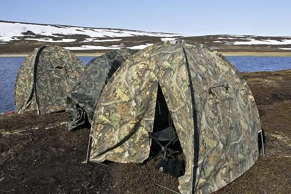 Tents - photographers campsite