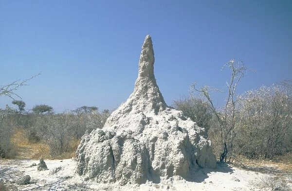 Termite Hill in the Etosha National Park - its