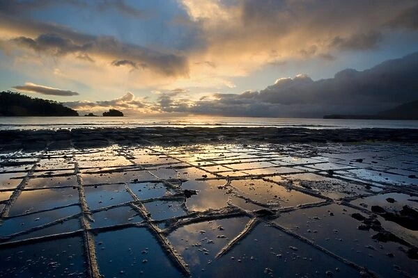 Tessellated Pavement - sunrise at magnificent Tesselated Pavement at Eaglehawk Neck on Tasmania. The rising sun, which is hidden behind clouds, casts an orange hue on the clouds