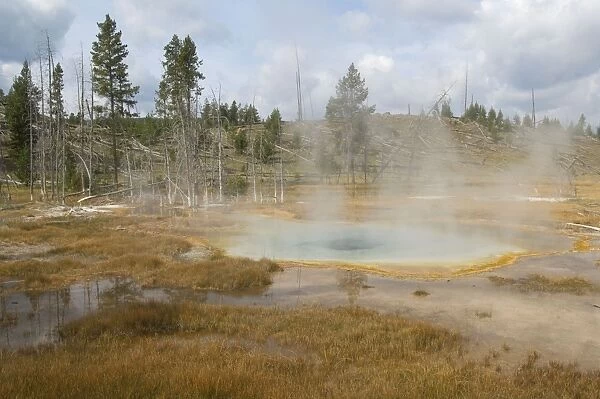 Thermal pool activity - Old Faithful area - Yellowstone NP - USA