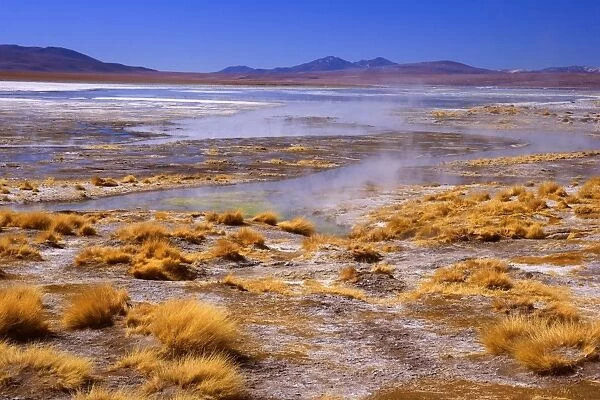 Thermas de Chalviri - Altiplano landscape with geothermal field of hot springs located at an altitude of about 4300 m above sea level - Reserva Nacional de Fauna Andina Eduardo Avaroa - Province Potosi - Bolivia - South America