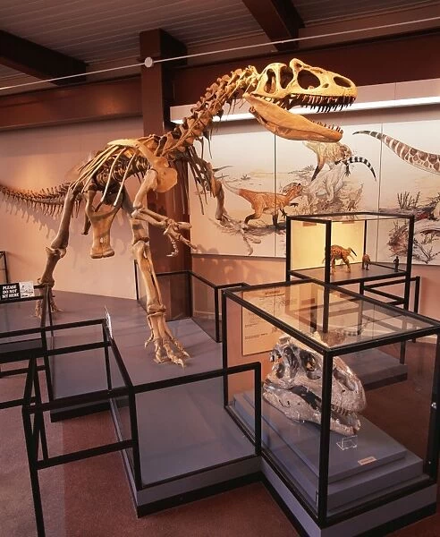 Theropod Dinosaur Jurassic. Dinosaur National Monument, Utah, USA