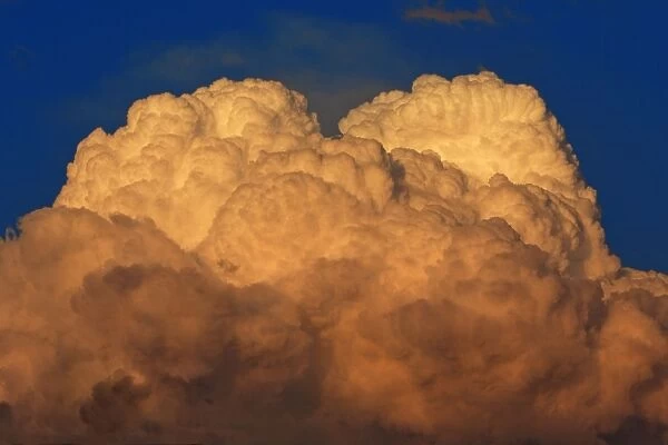 Thunder Clouds - forming in evening light, Lower Saxony, Germany