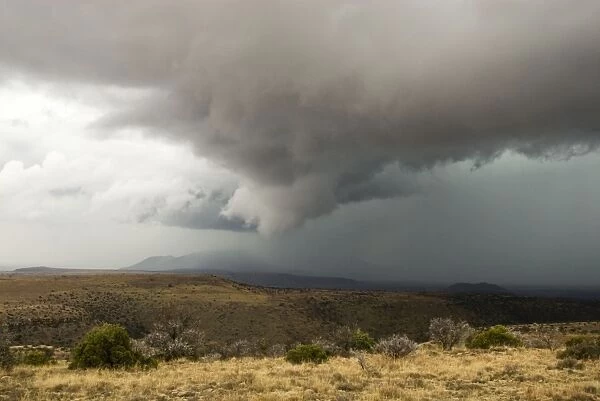 Thunderstorm breaking over Mountain Zebra National Park, Eastern Cape, South Africa