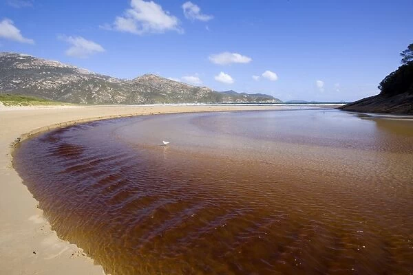 Tidal River - brown coloured water of Tidal River flows down into the ocean, at low tide. At high tide the river is underwater - Wilsons Promontory National Park, Victoria, Australia