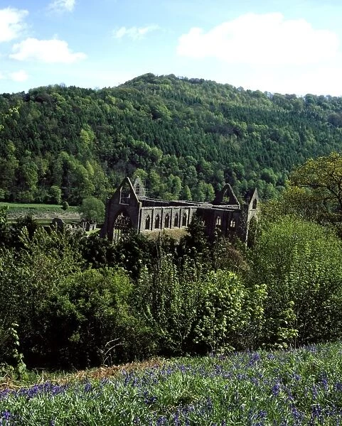 Tintern Abbey Ruins