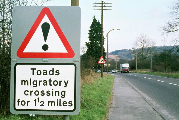 Toad - crossing sign