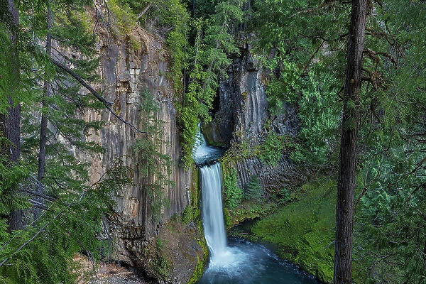 Toketee Falls runs over basalt columns in the Umpqua National Forest, Oregon, USA Date: 14-04-2021