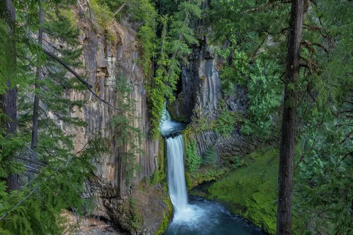 Framed Print : Toketee Falls runs over basalt columns in the Umpqua National Forest, Oregon, USA Date: 14-04-2021 Framed Print : Toketee Falls runs over basalt columns in the Umpqua National Forest, Oregon, USA Date: 14-04-2021