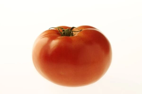 Tomato. LA-1068. Tomato. Jean Michel Labat